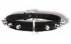 designer leather dog collars (8260 bytes)