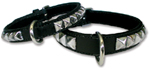 designer leather dog collar(6481 bytes)